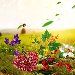 草地植物花卉食品促销主图设计 千库网免费PSD素材推荐