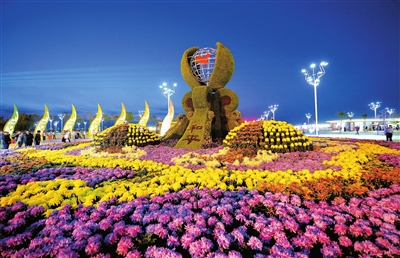 花卉博览会的魅力与苗木种植的艺术