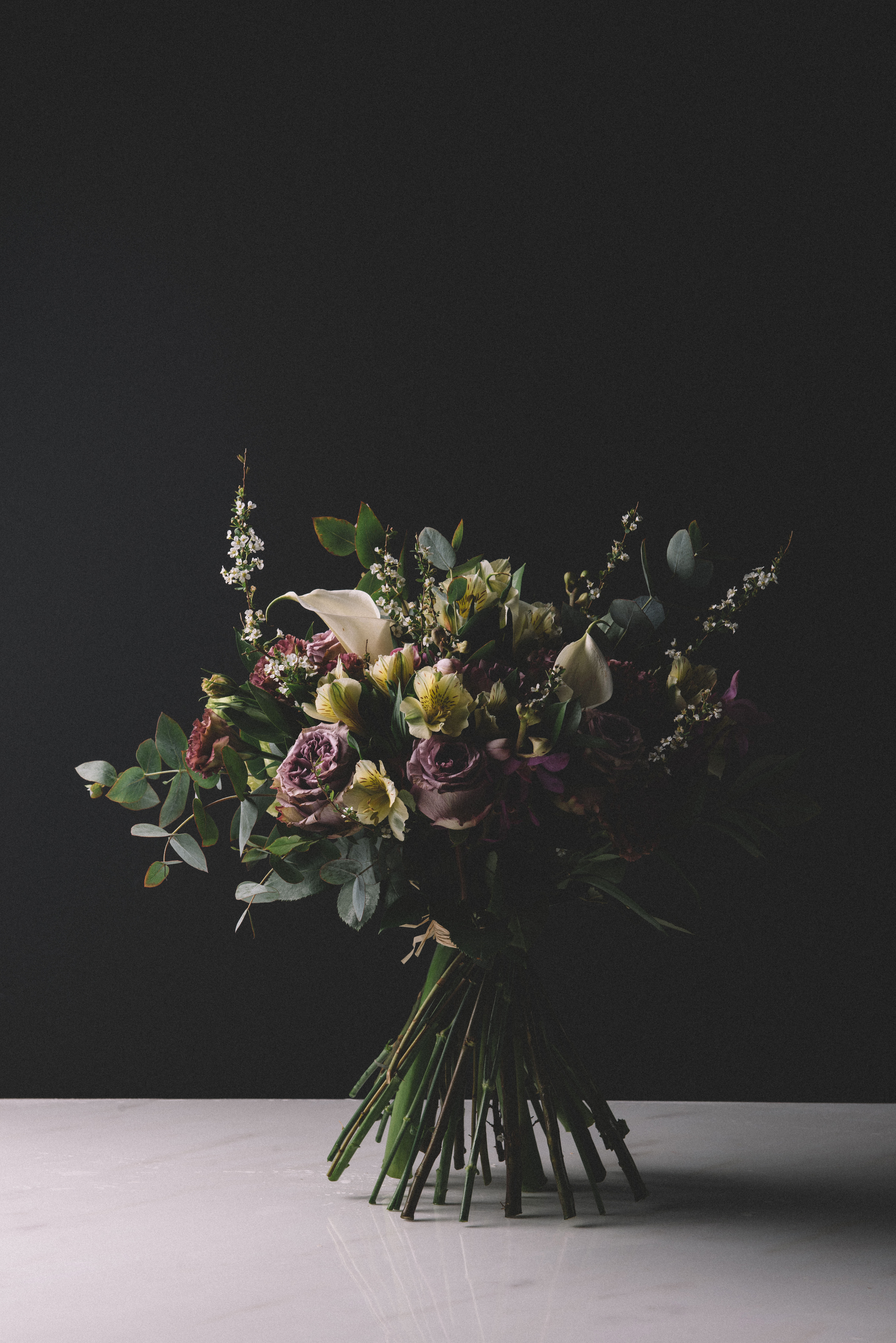 半朵鲜花 静物花卉摄影中的残缺美学