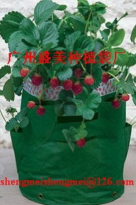 苗木袋供应商 广州盛美花木园林用品厂