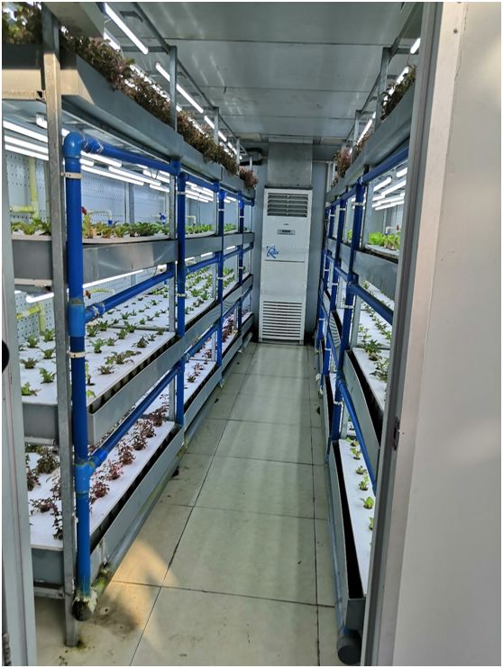 实训基地植物教学实习园区苗木种植实践与探索
